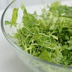 Зелёный салат «Всё с грядки»